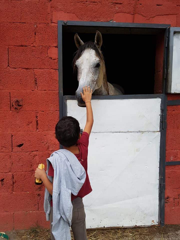 bambino con cavallo