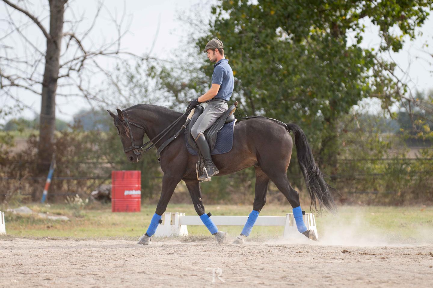 pietro istruttore su cavallo sella italiano